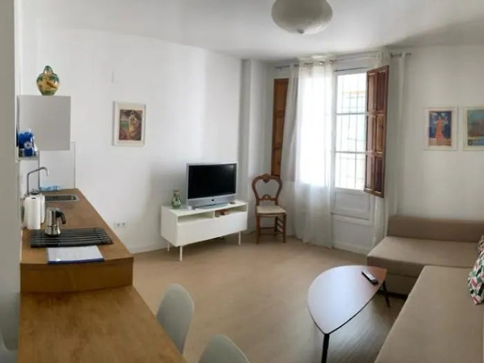 Luz Y Tranquilidad Barrio De Sta Cruz Apartment Seville Spain