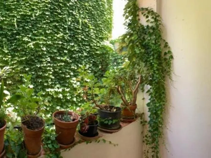 Luz Y Tranquilidad Barrio De Sta Cruz Apartment Seville