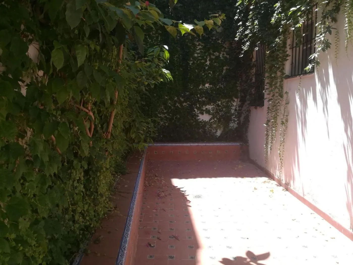 Luz Y Tranquilidad Barrio De Sta Cruz Apartment Seville
