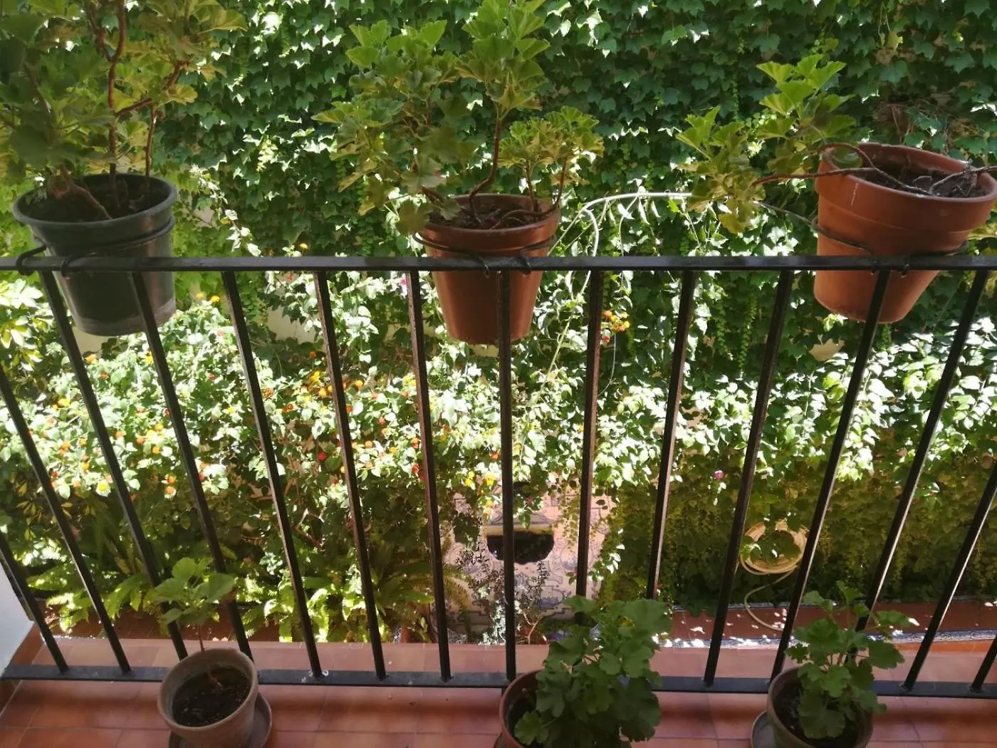 Apartmán Luz Y Tranquilidad Barrio De Sta Cruz Sevilla